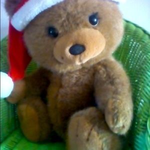 The Cutest Bear Ever